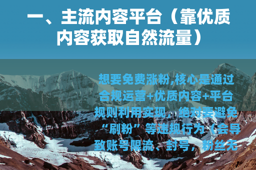 一、主流内容平台（靠优质内容获取自然流量）