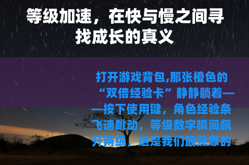 等级加速，在快与慢之间寻找成长的真义