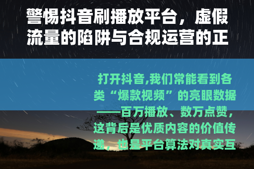 警惕抖音刷播放平台，虚假流量的陷阱与合规运营的正道