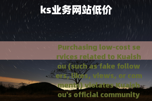 ks业务网站低价