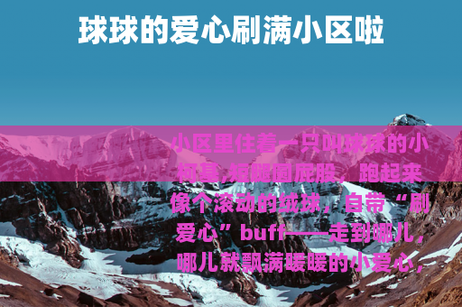 球球的爱心刷满小区啦