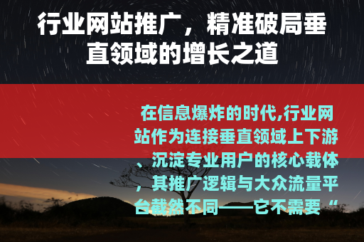 行业网站推广，精准破局垂直领域的增长之道