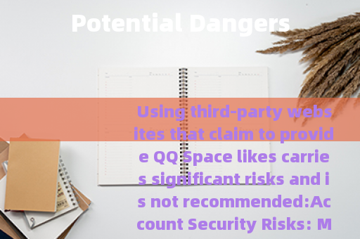 Potential Dangers