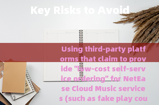 Key Risks to Avoid