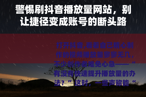 警惕刷抖音播放量网站，别让捷径变成账号的断头路