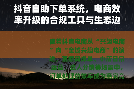 抖音自助下单系统，电商效率升级的合规工具与生态边界