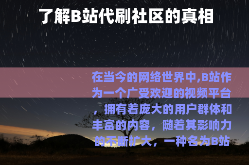 了解B站代刷社区的真相