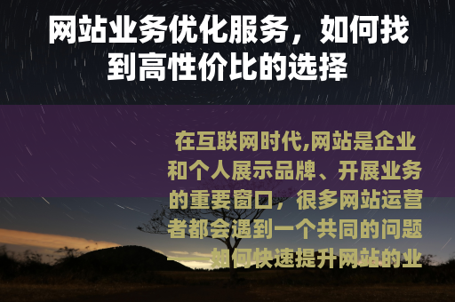 网站业务优化服务，如何找到高性价比的选择