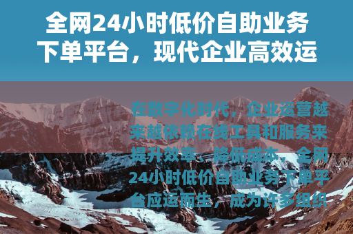 全网24小时低价自助业务下单平台，现代企业高效运营的得力助手