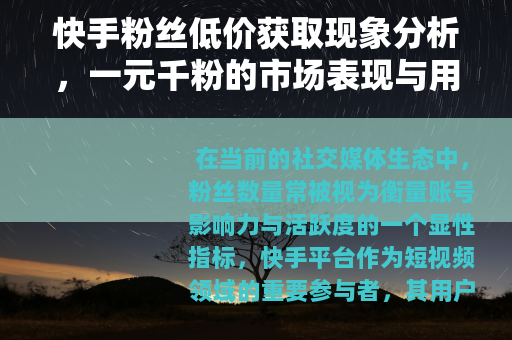 快手粉丝低价获取现象分析，一元千粉的市场表现与用户考量