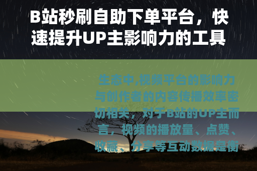 B站秒刷自助下单平台，快速提升UP主影响力的工具解析