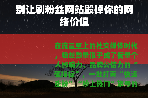 别让刷粉丝网站毁掉你的网络价值