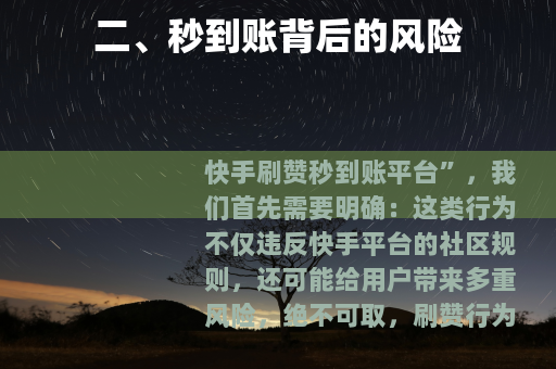二、秒到账背后的风险