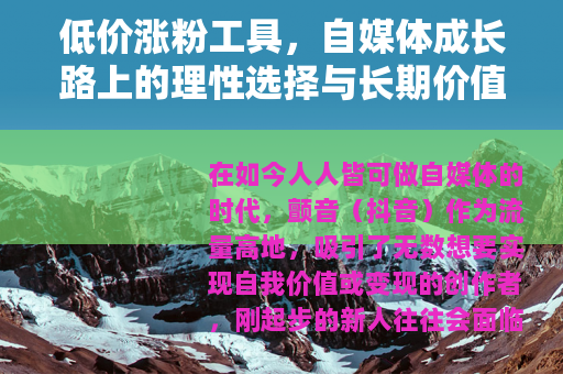 低价涨粉工具，自媒体成长路上的理性选择与长期价值