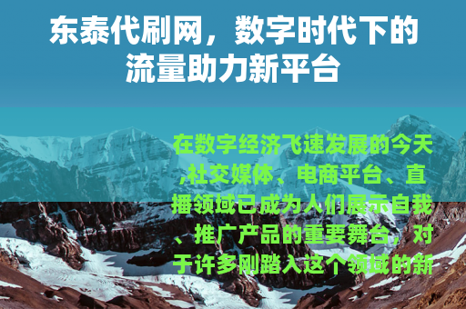 东泰代刷网，数字时代下的流量助力新平台