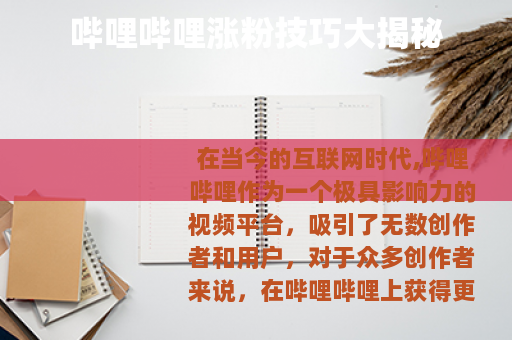 哔哩哔哩涨粉技巧大揭秘