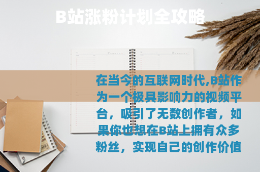 B站涨粉计划全攻略