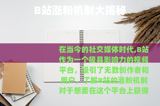 B站涨粉机制大揭秘