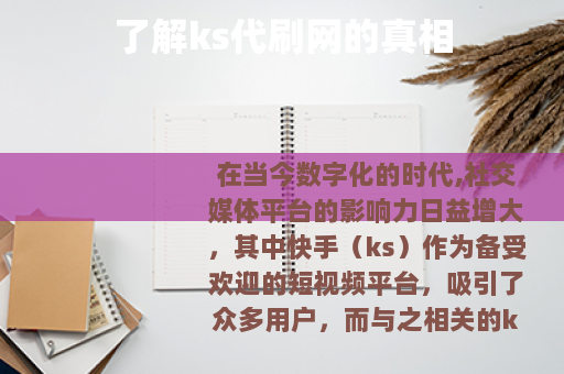 了解ks代刷网的真相