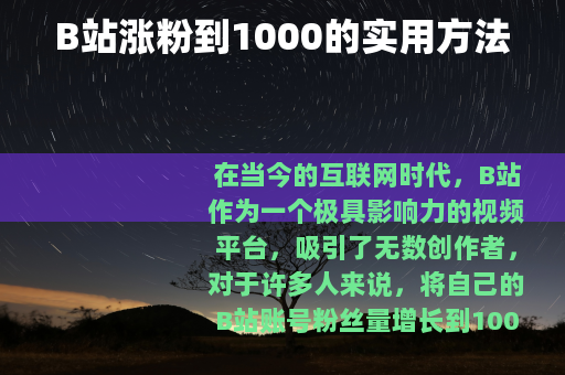 B站涨粉到1000的实用方法