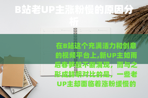 B站老UP主涨粉慢的原因分析