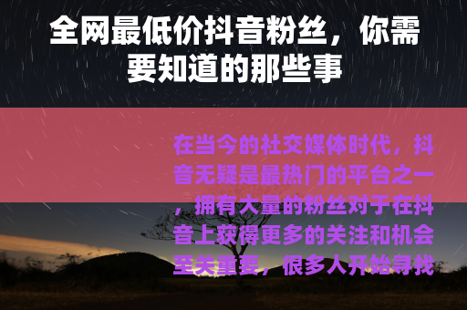 全网最低价抖音粉丝，你需要知道的那些事